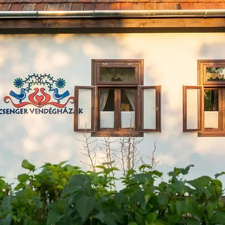 公寓 Csenger Vendeghazak Matraverebely