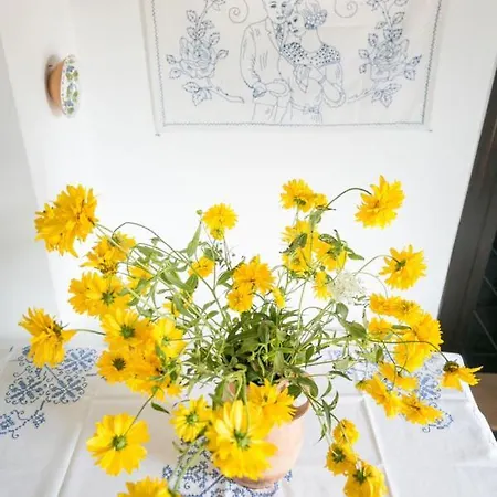 Csenger Vendeghazak 公寓 Matraverebely